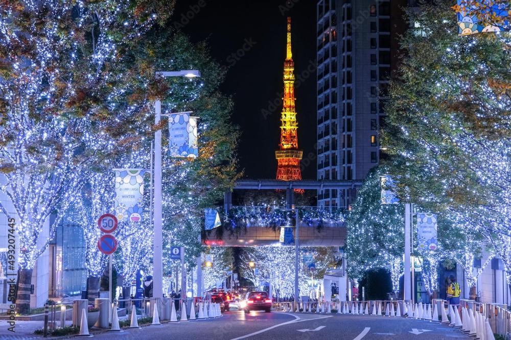 Appartamento Elle's Shirokane 301 *